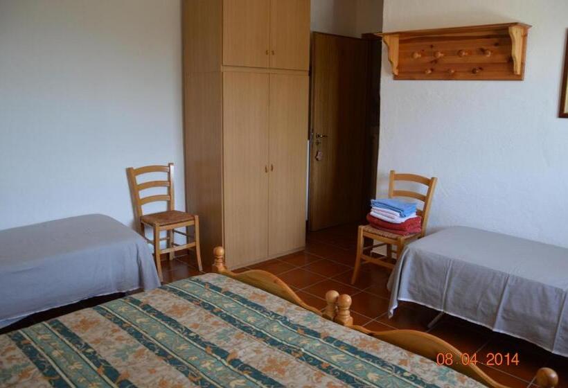 غرفة قياسية مطلّة علي الحديقة, Agriturismo Costiolu