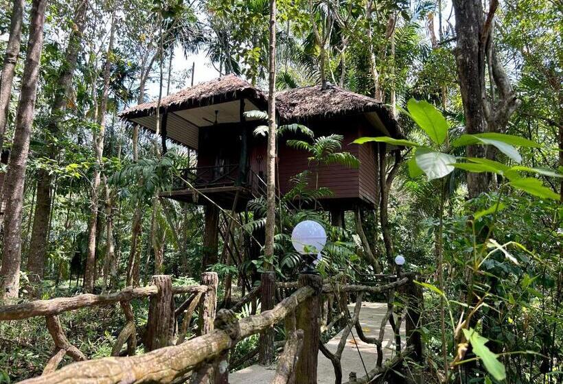 标准平房, Khao Sok Paradise Resort