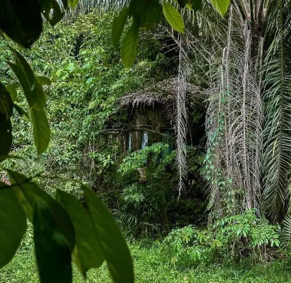 ガーデンビューのスタンダードバンガロー, Khao Sok Paradise Resort