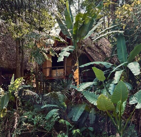 Standard bungalow mountain view, Khao Sok Paradise Resort