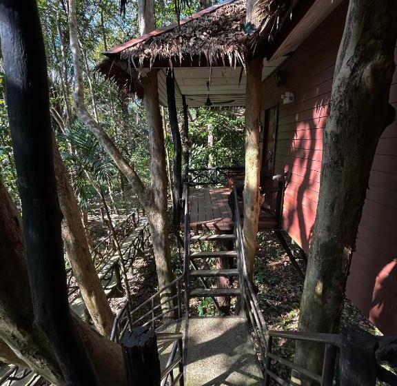 家庭洋房, Khao Sok Paradise Resort