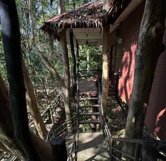 家族用バンガロー, Khao Sok Paradise Resort