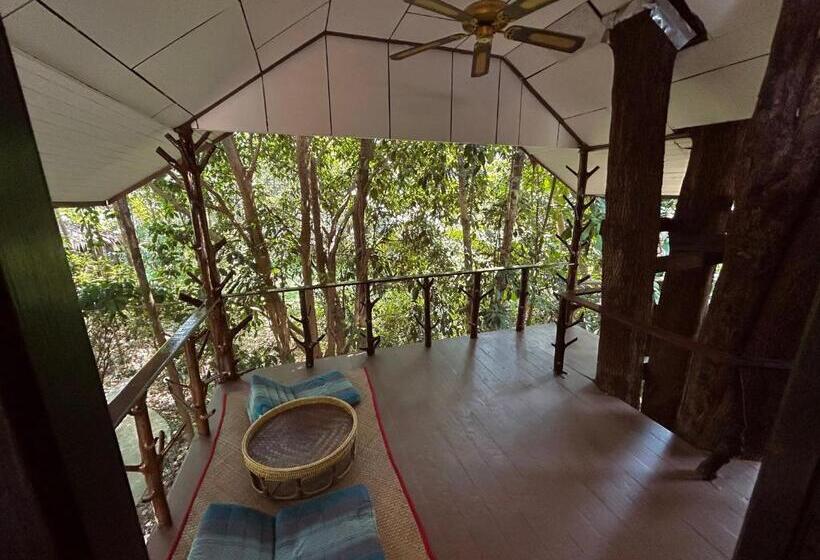 豪华洋房, Khao Sok Paradise Resort