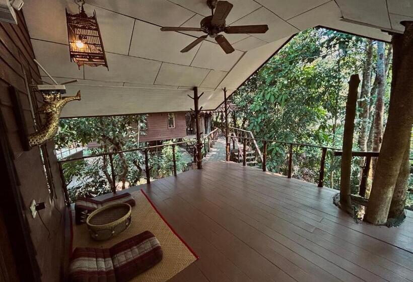 豪华洋房, Khao Sok Paradise Resort