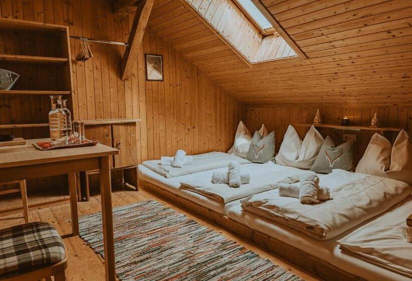 اتاق استاندارد چهارنفره با سرویس بهداشتی مشترک, Reitlehenalm