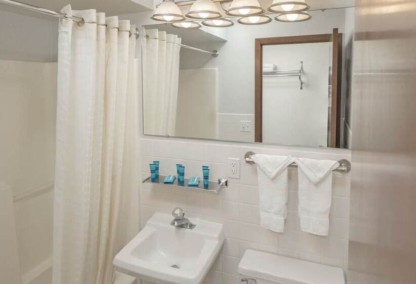 标准间, Chestnut Mountain Resort