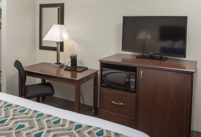 标准间, Chestnut Mountain Resort