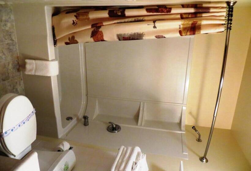 スタンダードルーム, Chief Motel