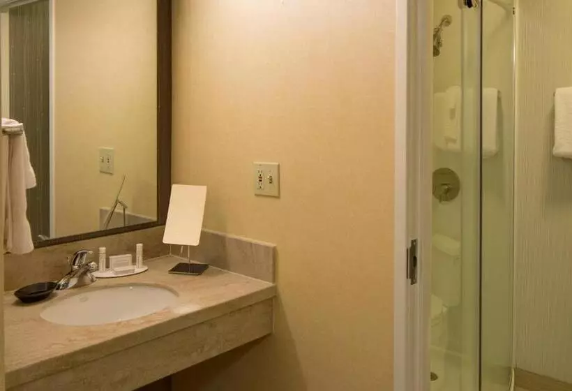 اتاق استاندارد با تخت بزرگ, Courtyard By Marriott Anchorage Airport