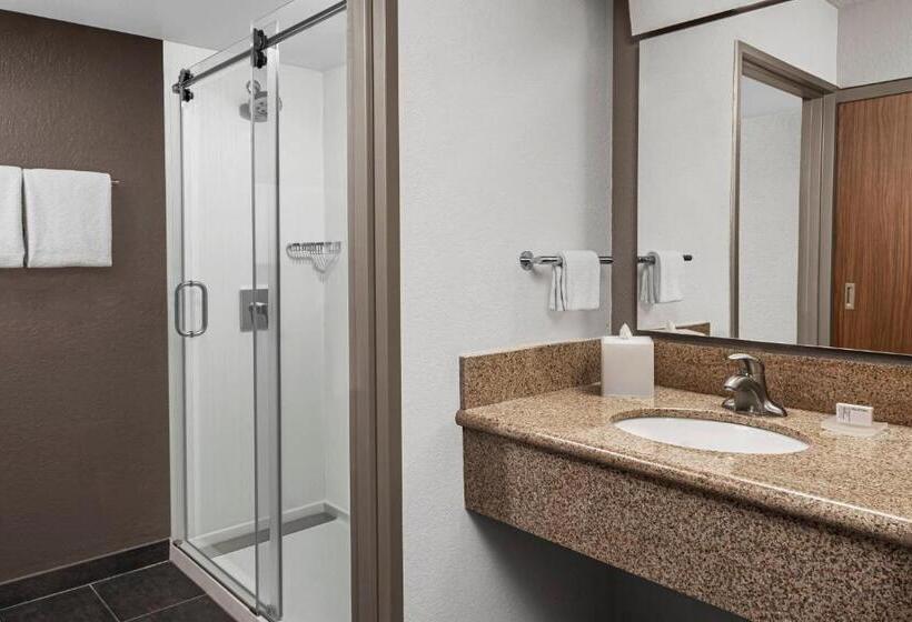 Номер Стандарт Кровать Кинг Адаптированный для Инвалидов, Courtyard Jacksonville Butler Boulevard