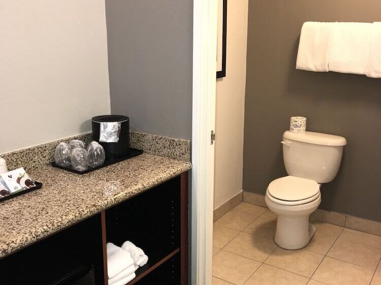 اتاق استاندارد با 2 تخت دوبل, Courtyard By Marriott Mcallen