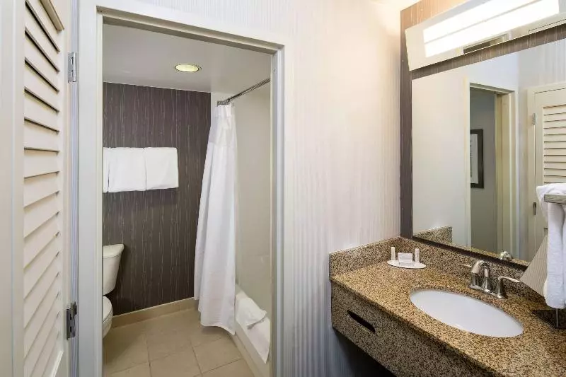 اتاق استاندارد با تخت بزرگ, Courtyard By Marriott San Antonio Airport/north Star Mall
