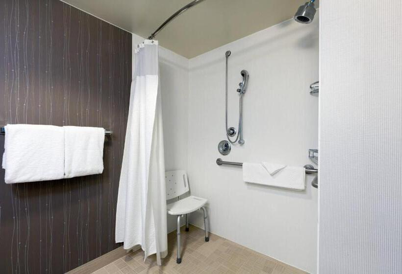Pokój Typu Standard Łóżko King Przystosowany dla Osób Niepełnosprawnych, Courtyard By Marriott San Antonio Airport/north Star Mall