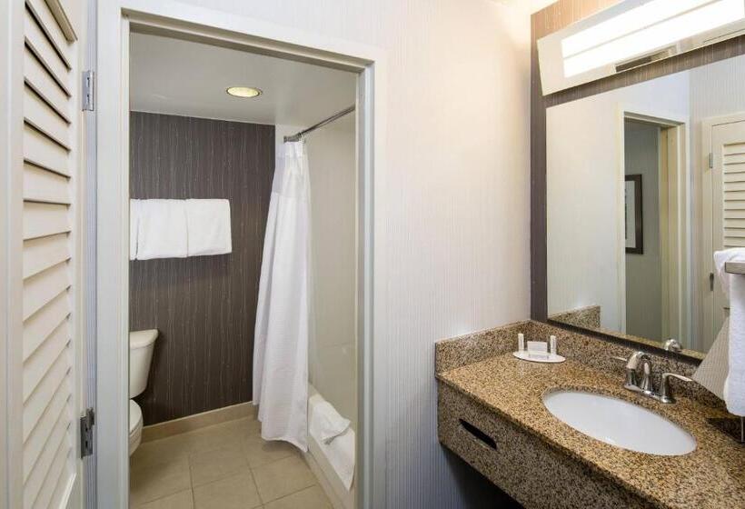 Pokój Typu Standard Łóżko King Przystosowany dla Osób Niepełnosprawnych, Courtyard By Marriott San Antonio Airport/north Star Mall