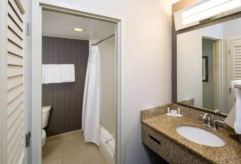اتاق دلوکس مخصوص معلولین, Courtyard By Marriott San Antonio Airport/north Star Mall