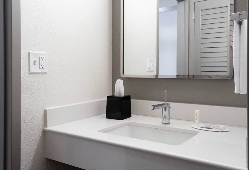 סוויטה, Courtyard St. Petersburg Clearwater