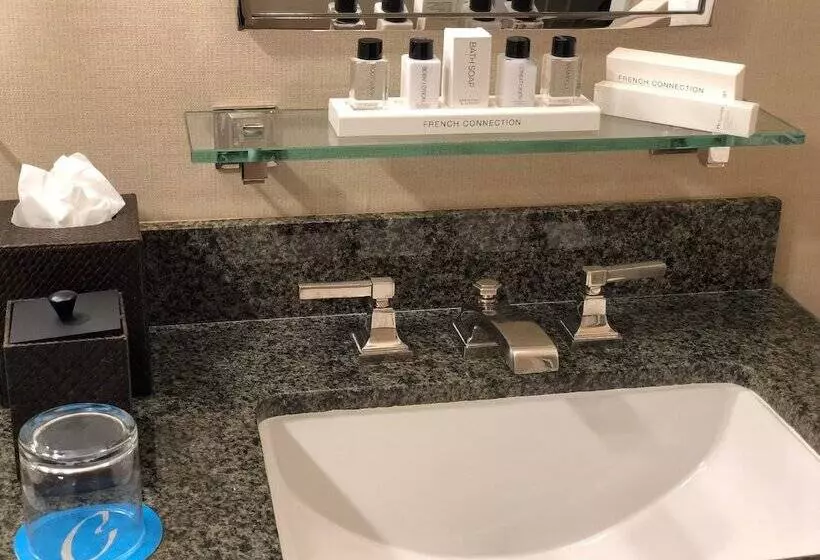 اتاق استاندارد با تخت بزرگ, Cupertino