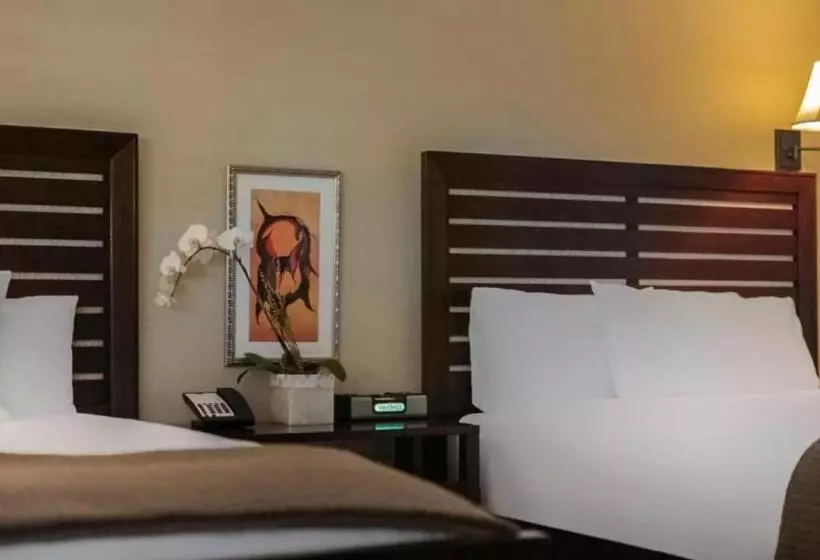 اتاق استاندارد, Cupertino