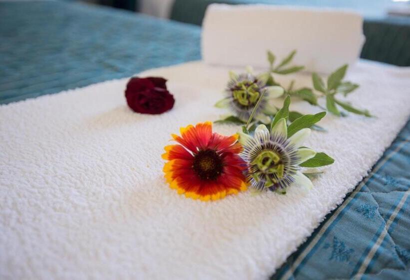 Студия Стандарт Вид на Море, Avra Sea View Paradise Pool Apartments