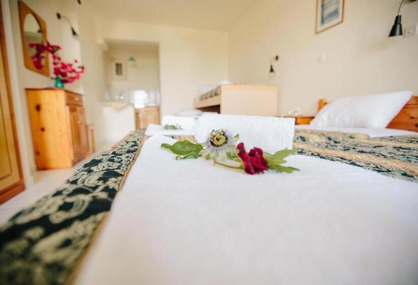 Четырехместный Номер Стандарт, Avra Sea View Paradise Pool Apartments