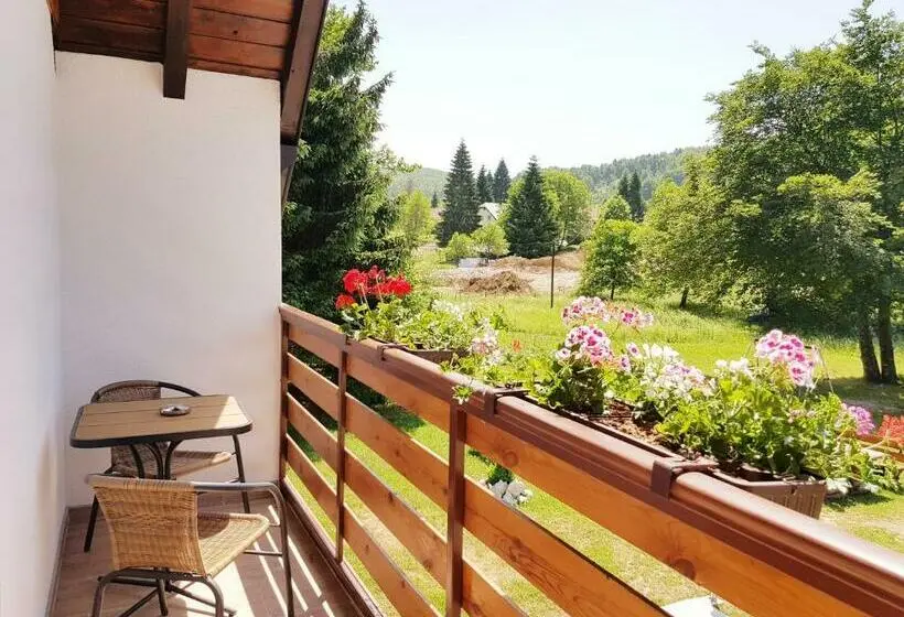 バルコニー付きスタンダードルーム, Guesthouse Green Valley
