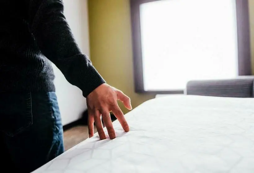 身障者適用スタンダードルーム, Holiday Inn Express   Sarnia   Point Edward, An Ihg