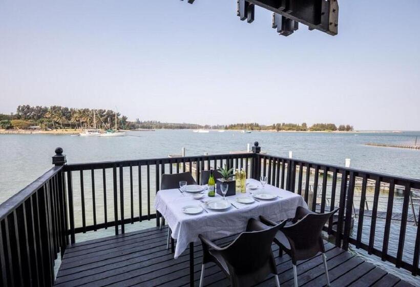 基本间, Wild Rocks