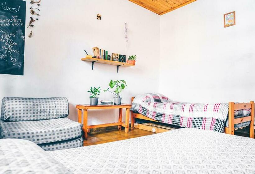 اتاق استاندارد با سرویس بهداشتی مشترک, La Social Hostel Y Libros