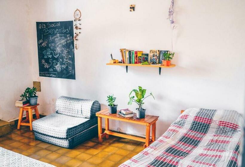 اتاق استاندارد با سرویس بهداشتی مشترک, La Social Hostel Y Libros