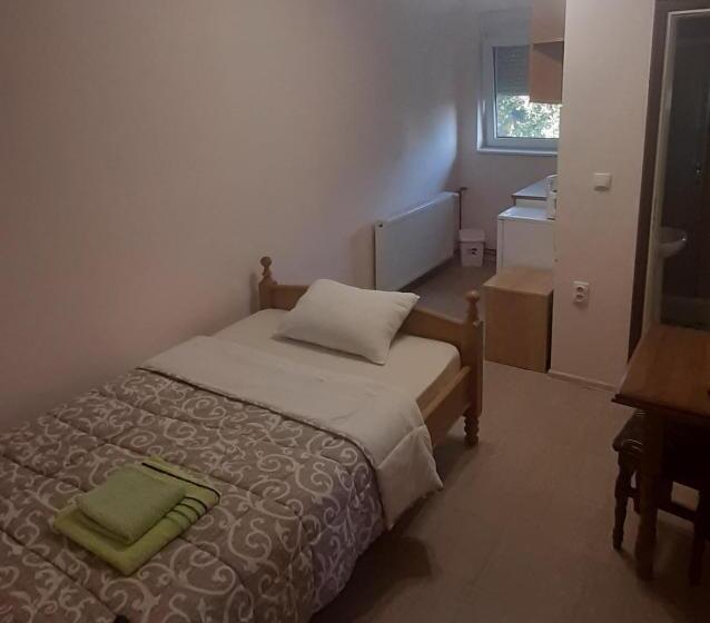 آپارتمان 1 خوابه, Aleksandar Vila Br