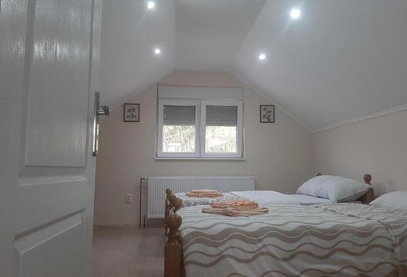 استودیوی لوکس, Aleksandar Vila Br