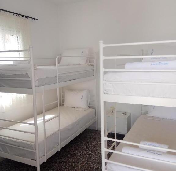 اتاق خانوادگی, Grandma Vasiliki Rooms To Let