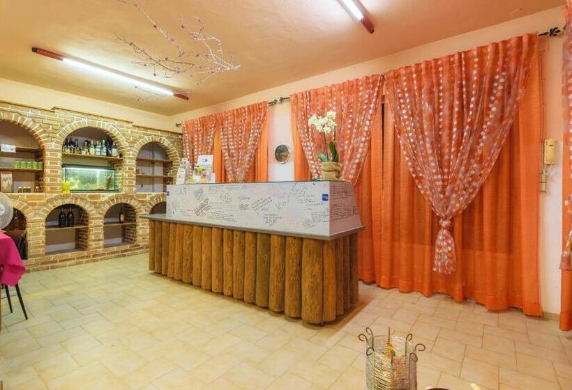 استودیو استاندارد با بالکن, Studio Timotheos