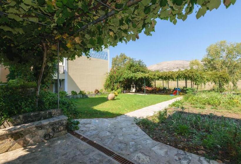 استودیو استاندارد با بالکن, Studio Timotheos