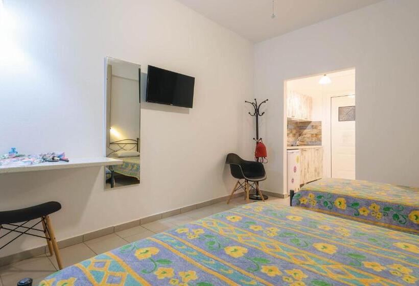 استودیو استاندارد با بالکن, Studio Timotheos