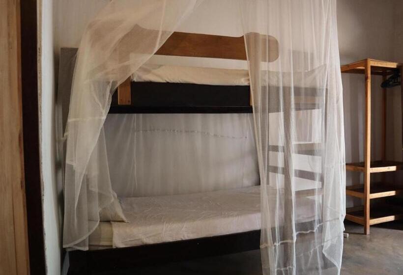 اتاق خانوادگی, Thumbi View Lodge