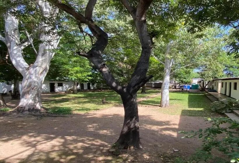 اتاق استاندارد با چشم‌انداز باغ, Thumbi View Lodge
