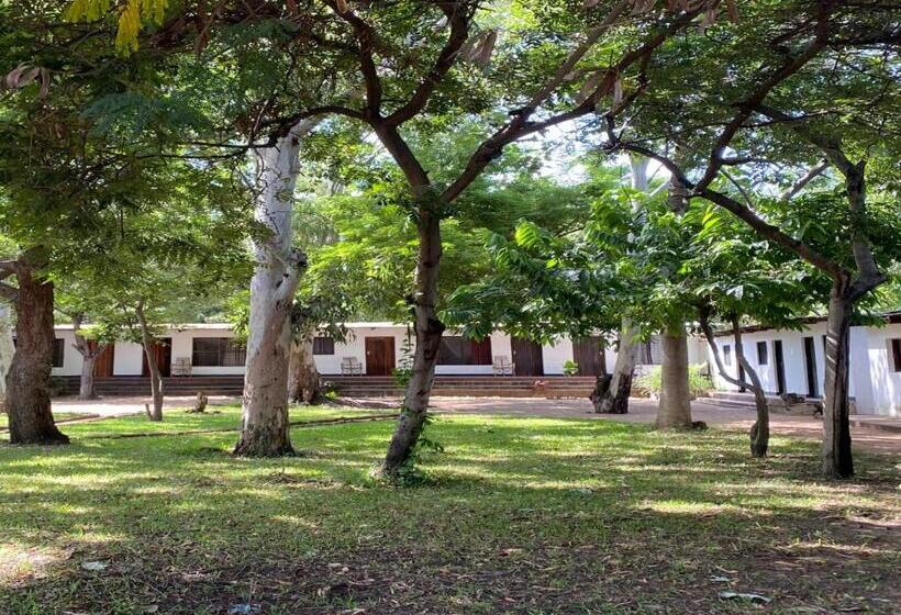 اتاق استاندارد با چشم‌انداز باغ, Thumbi View Lodge