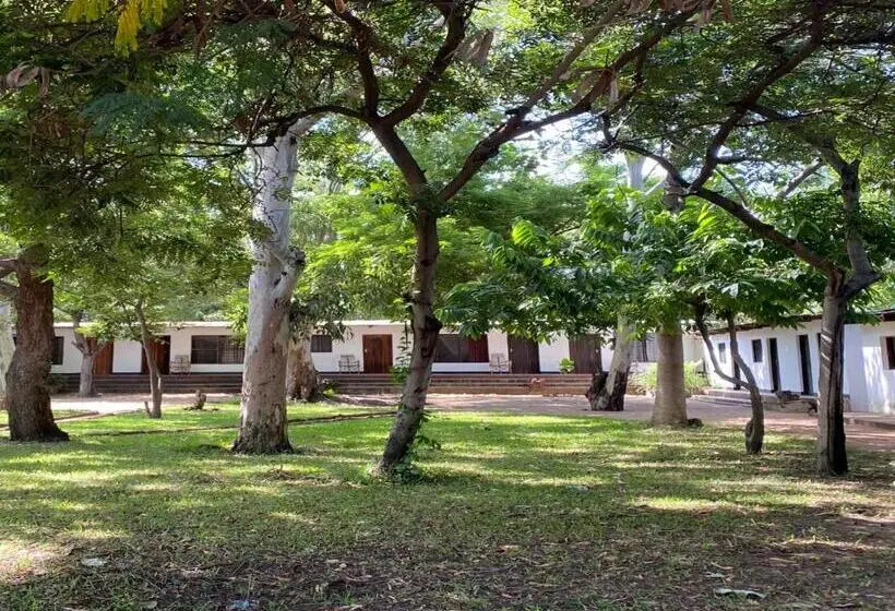 اتاق استاندارد با چشم‌انداز باغ, Thumbi View Lodge