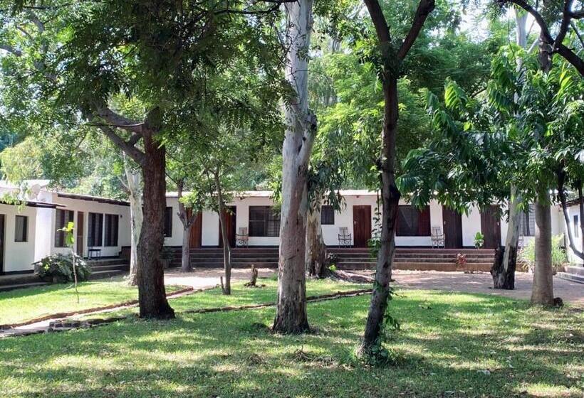 اتاق استاندارد با چشم‌انداز باغ, Thumbi View Lodge