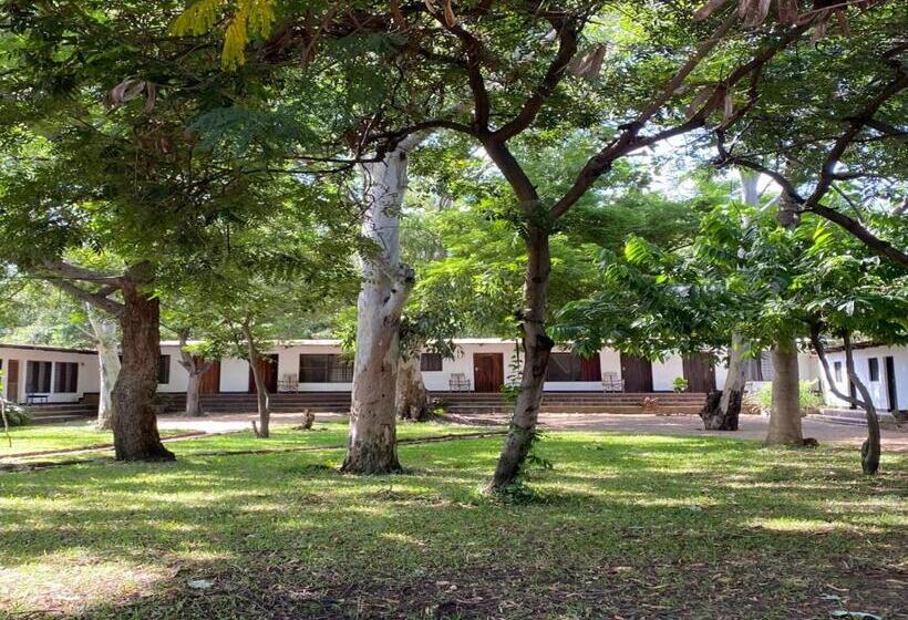 اتاق استاندارد با سرویس بهداشتی مشترک, Thumbi View Lodge