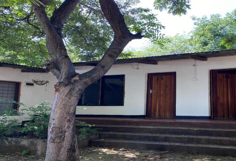 اتاق استاندارد با سرویس بهداشتی مشترک, Thumbi View Lodge