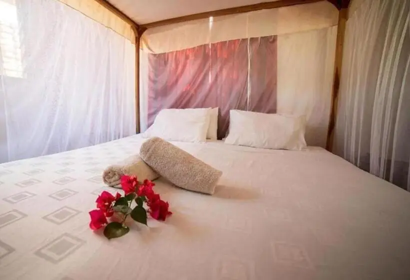 اتاق استاندارد با سرویس بهداشتی مشترک, Thumbi View Lodge