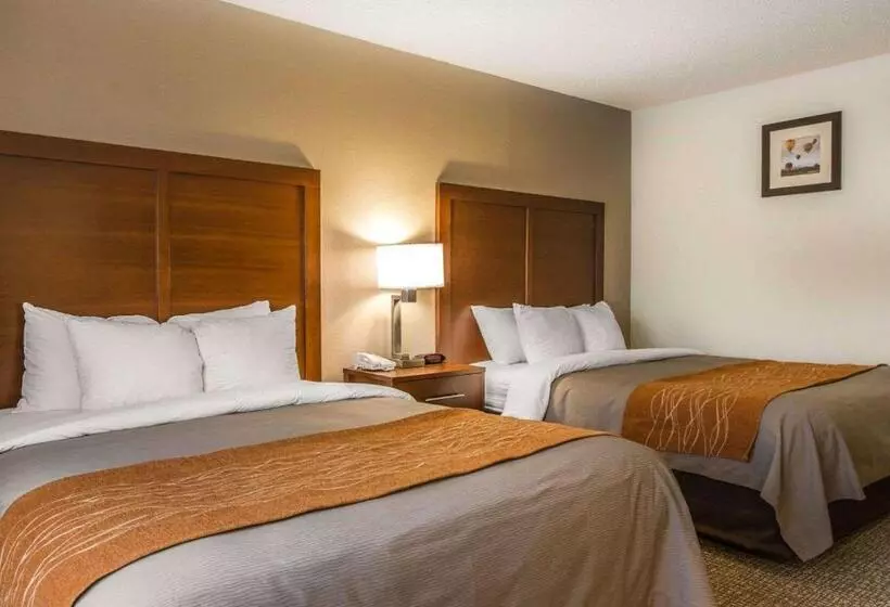 اتاق استاندارد, Comfort Inn Yreka I 5