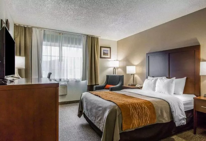 اتاق استاندارد با تخت بزرگ, Comfort Inn Yreka I 5