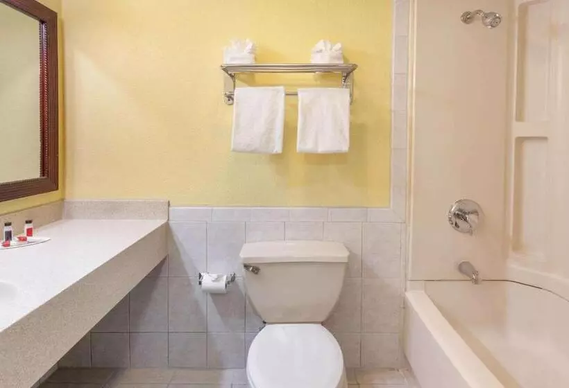 ビジネスルーム, Days Inn By Wyndham Nanuet / Spring Valley