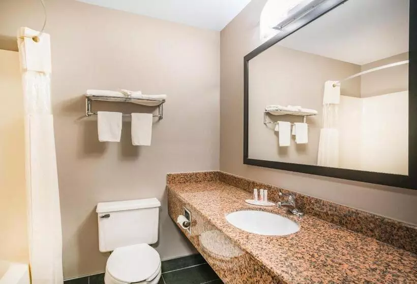 اتاق استاندارد با تخت بزرگ, Days Inn & Suites By Wyndham Wausau