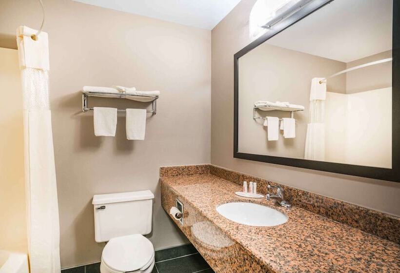 Номер бизнес-класса, Days Inn & Suites By Wyndham Wausau