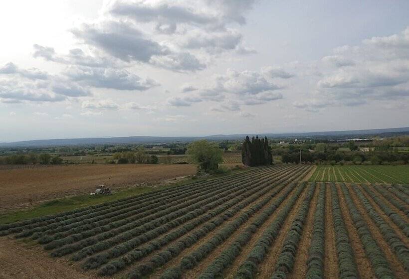 Номер Стандарт, Le Mas Des Sorcières   Maison D Hôtes