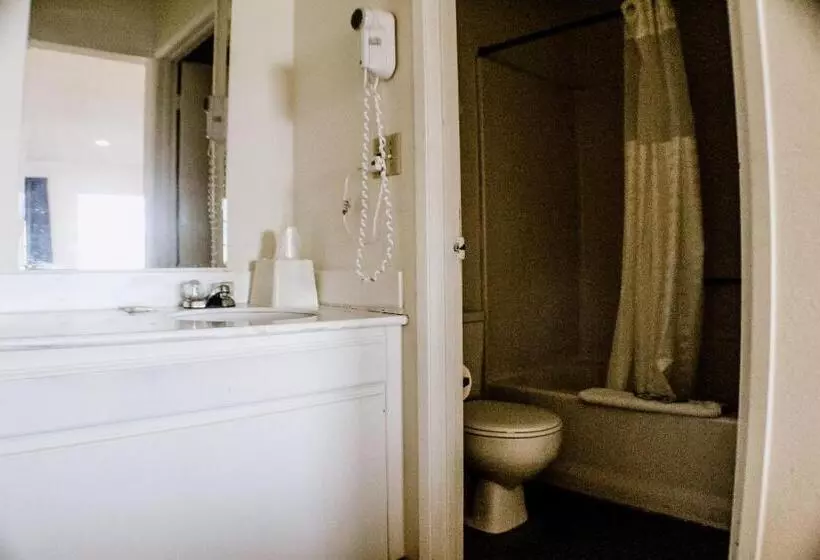 اتاق استاندارد با تخت بزرگ, Devonshire Inn